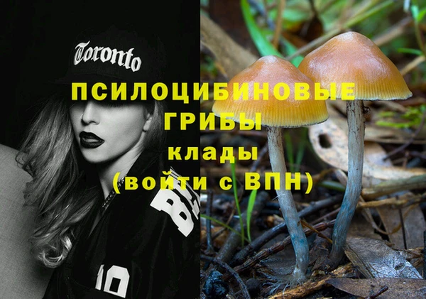 таблы Алзамай