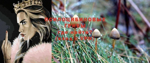 таблы Алзамай