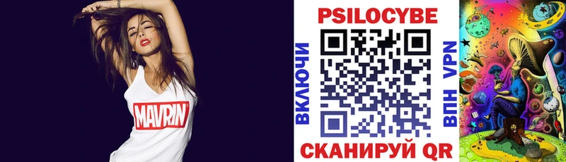 даркнет телеграм  купить  цена  mega ONION  Суровикино  Псилоцибиновые грибы Psilocybe 
