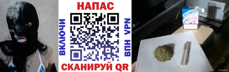 купить   Суровикино  Конопля семена 